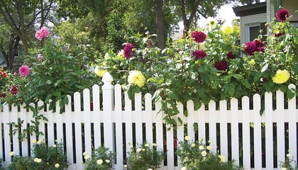 Vinyl Fences